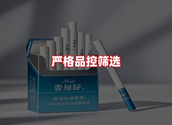 专业团队